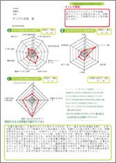 個人結果図版